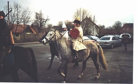 Anden særlig race Bailey *RIP* - Fastelavnsridning 2005 - jeg er viking. billede 6