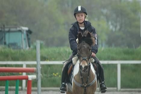Anden særlig race Painted Pony (død) - Her kommer vi billede 5
