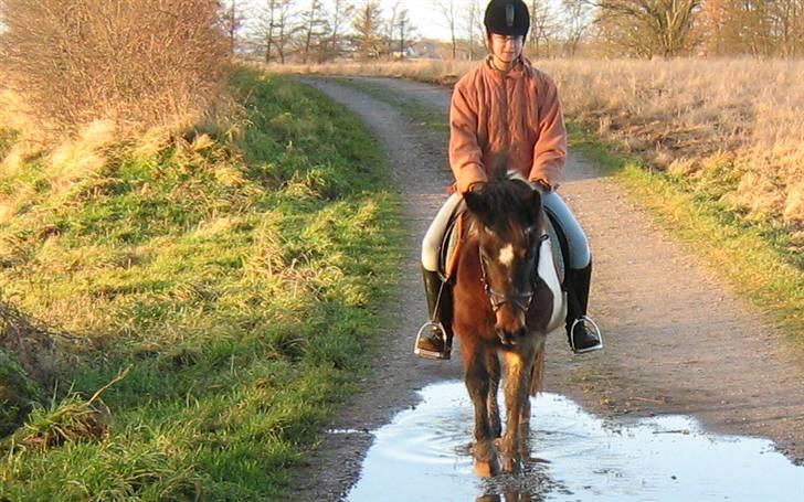 Anden særlig race | Charming lotte - Her er vi på tur :) billede 14
