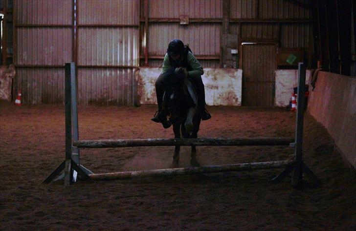 Anden særlig race | Charming lotte billede 17