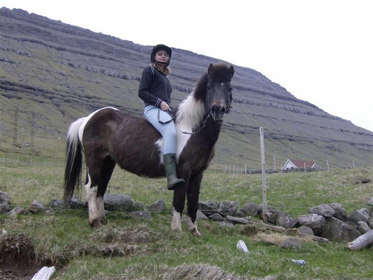 Færøsk hest Blanka [Haft i pleje] - Smukke smukke Blanka!!! <´33 :-* Min kusine Ella Súsanna der rider =) | 26-05-2008 billede 1