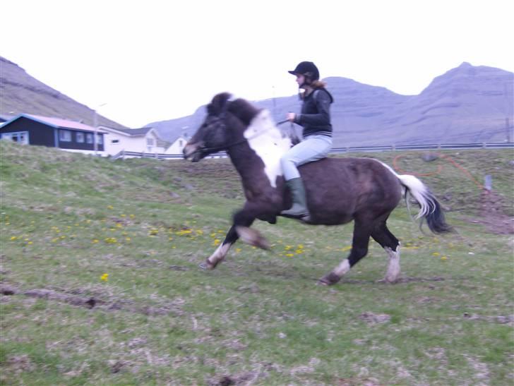 Færøsk hest Blanka [Haft i pleje] - Yiiiihaa ! :D Ella Súsanna og Blanka i galop ! x) | 26-05-2008 billede 5