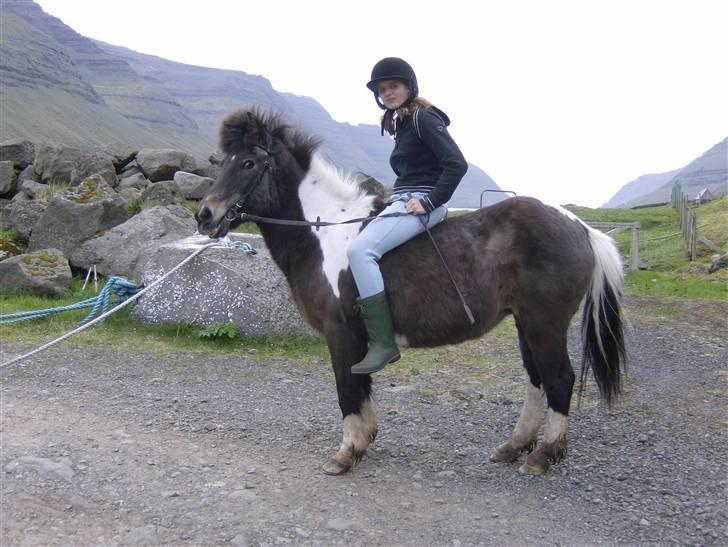 Færøsk hest Blanka [Haft i pleje] - Smukke Blanka og Ella Súsanna :D Hun var helt tændt den her dag hehe ;o) | 26-05-2008 billede 7