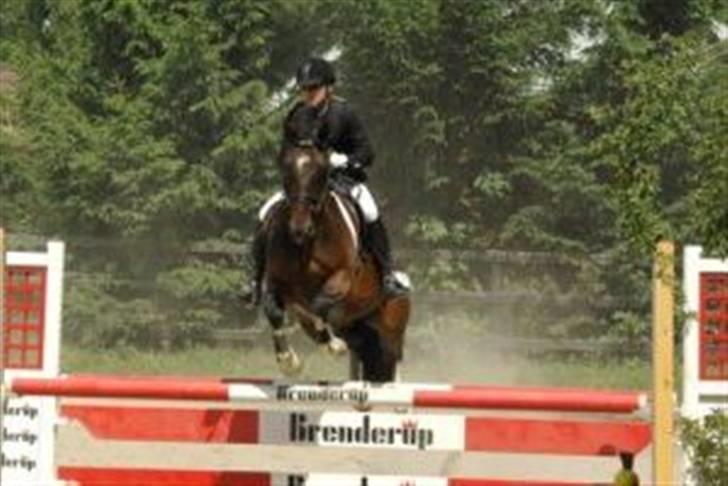 Anden særlig race Mosely's Monte Carlo billede 17