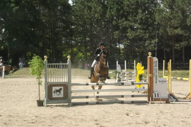 Anden særlig race Mosely's Monte Carlo billede 19