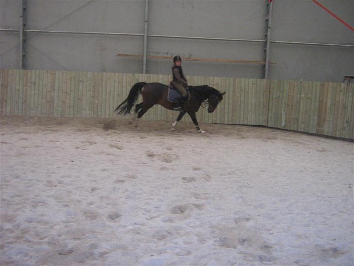 Anden særlig race Mosely's Monte Carlo billede 20