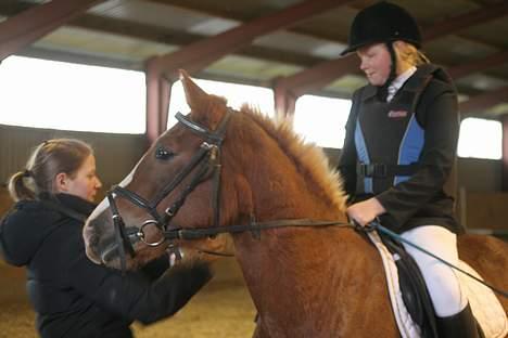 Anden særlig race Tessa(Greta) * SOLGT* :'( - Her er Merete ved at sætte 1. præmien på .. Jeq vandt LD sprinq .. :) billede 18