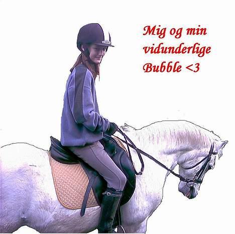 Welsh Pony (sec B) *Gl. Part* Bubbly Burglar - Dressur, iih han er lækker <3 (Ved godt han går under bidet, men synes det er et rigtig godt billede;) billede 1