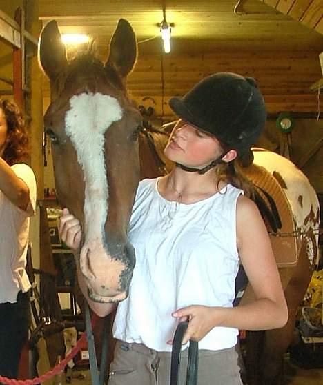 Anden særlig race Buster billede 3