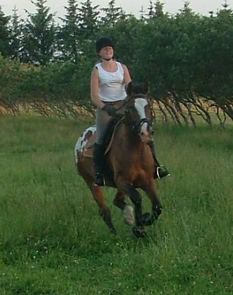 Anden særlig race Buster billede 4