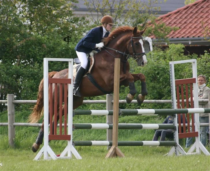 Oldenborg Mosegården Dukat solgt - til Stævne på GDR tror det er i LB © Cabana Foto billede 1