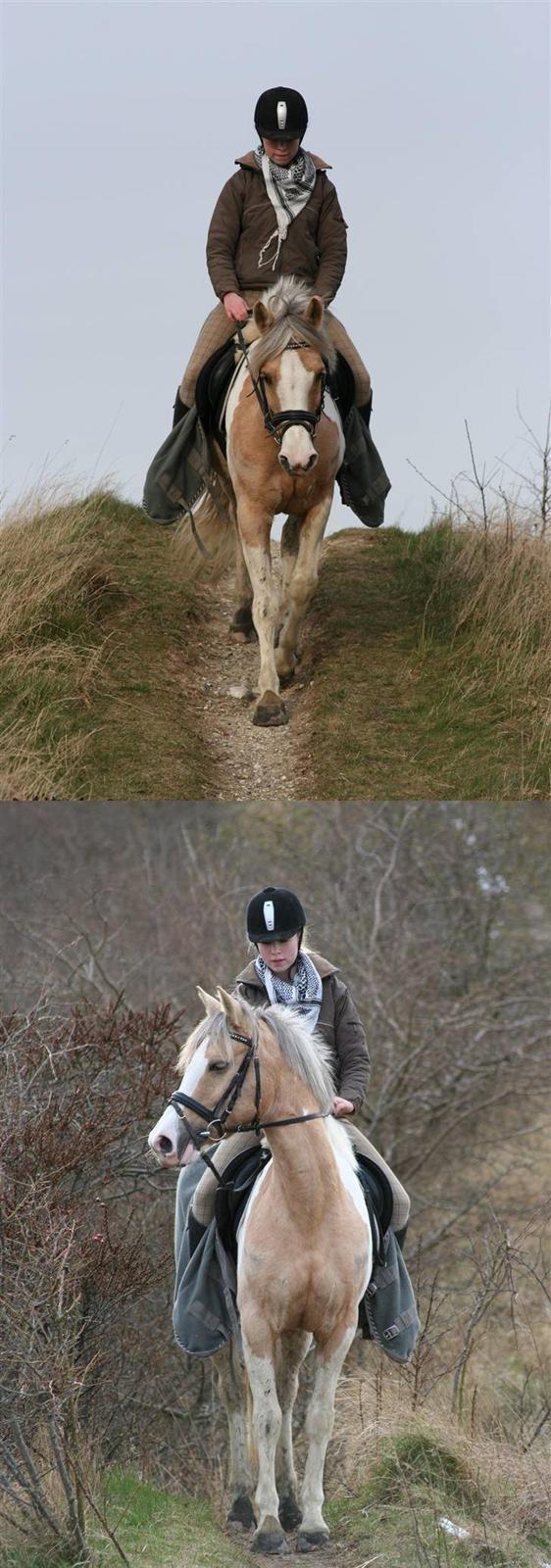 Anden særlig race Shy Lady - 5) På tivolibakkerne i hedeland :) Foto: MATO billede 5