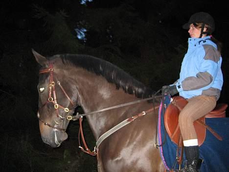 Hollandsk Varmblod Ulinda - Ulinda å Hestepasseren Christine på tur i skogen =) billede 7