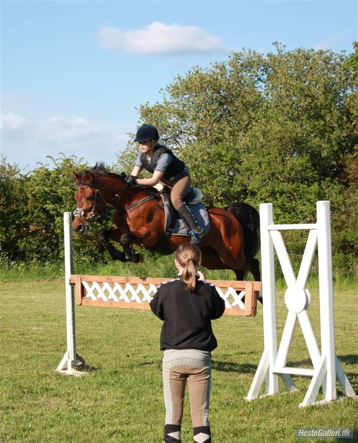 Connemara Søstholm Rapsody - A Pony - Træning på SØR m. Mona <3 Foto: Mie G :) billede 11