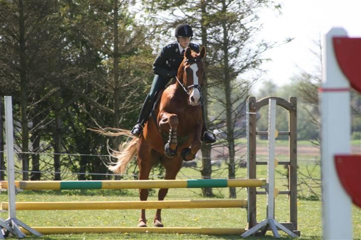 Oldenborg Mosegården Dukat solgt billede 2