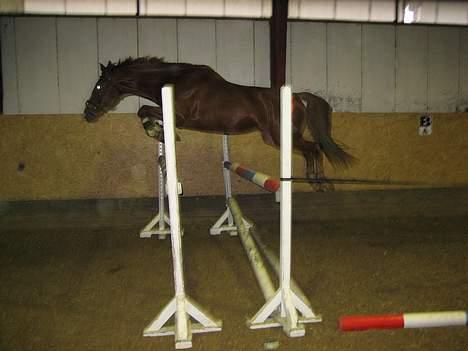 Oldenborg Mosegården Dukat solgt - jeg kan flyve:D © Cabana Foto billede 3