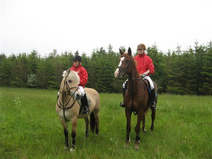 Oldenborg Mosegården Dukat solgt - under pausen ved jagten i skive. billede 5