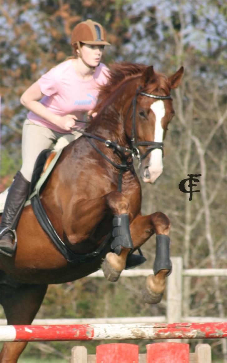 Oldenborg Mosegården Dukat solgt - juhuu!!! billede 9