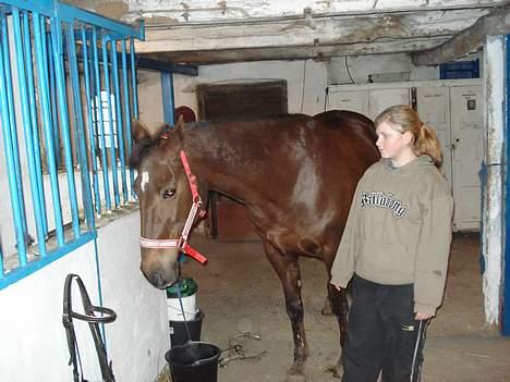 Traver rina billede 10