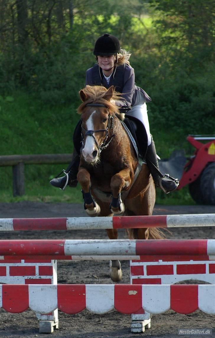 Anden særlig race Andro. - Igen på Kalle, du var virkelig super! Vi red fejlfrit (; Foto; Tia Lundemose. billede 3