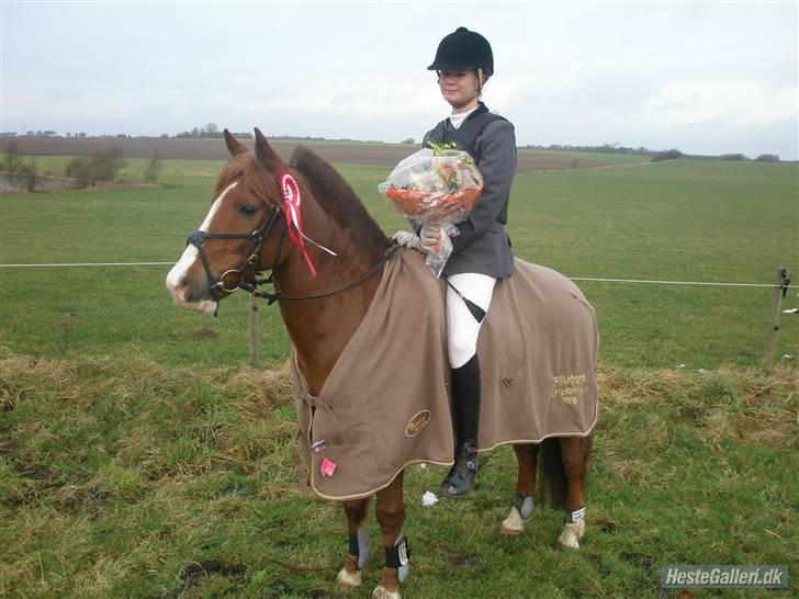 Anden særlig race Andro. - Silkeborgmester 08. Foto; Mor. billede 5