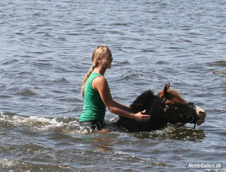 Anden særlig race Andro. - Åh det var så sjovt, du så sød min prins! Foto; Gitte Biaballe. billede 7