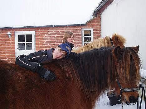 Islænder Bredla - mig kusine og bredla.. jeg står i baggrunden med gosi.. billede 2