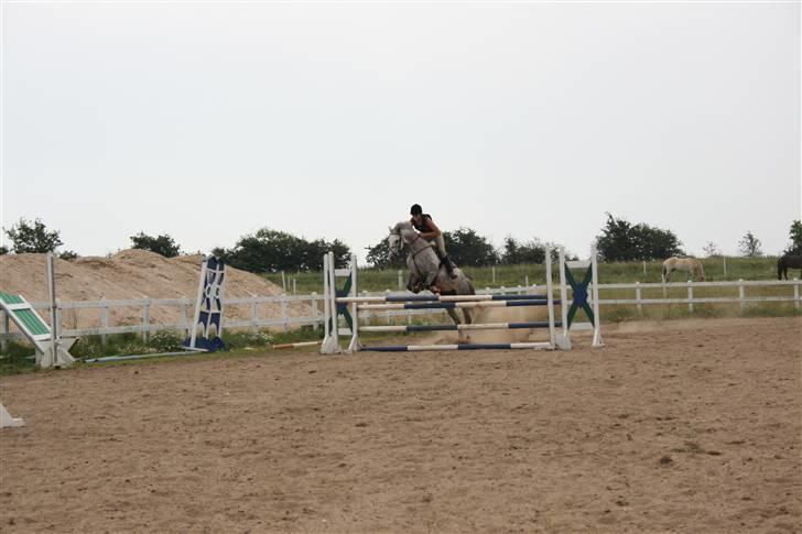 Anden særlig race Dancing Daisy ! !SOLGT! ! - Daisy i sit rette element :D Foto: Far billede 14