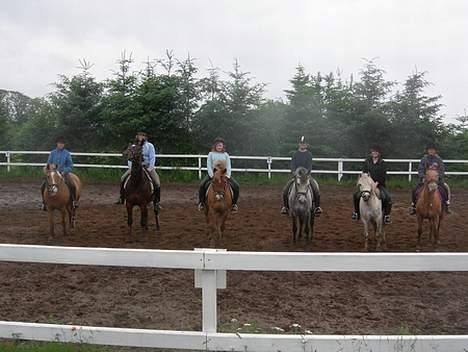 New Forest Olivia / Squash - her er vi ved at lave et pogram sammen. Der er overnatning på lanager hvor olivia står. vi er nr. 3 frå vendster... billede 2