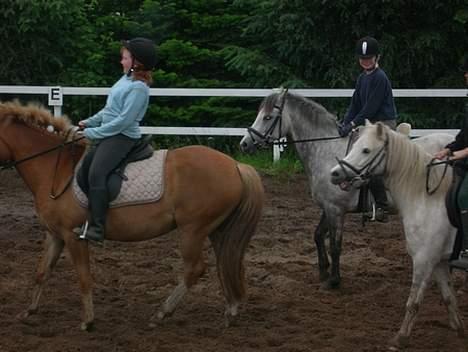 New Forest Olivia / Squash - olivias hoved er kortet væk men her er vi ved at lave en prade.. billede 3