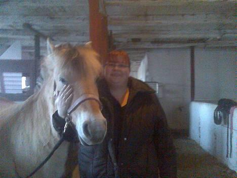 Fjordhest Skovvejens Anita ( Akita) - Min dejlige hest. billede 2