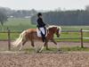Tyroler Haflinger Grace (Har redet)