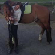 Anden særlig race Felix [sendt tilbage]