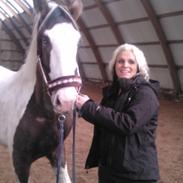 Pinto Neubran blue eye dede delight