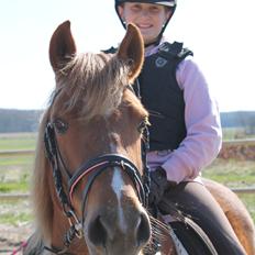 Anden særlig race Fanny