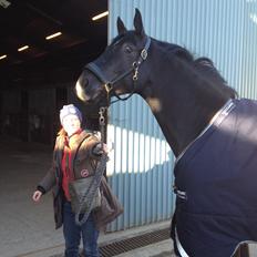 Hannoveraner His Hotness