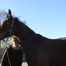 Anden særlig race Chanell