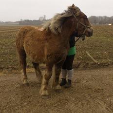 Jyde Ravn's Benjamil