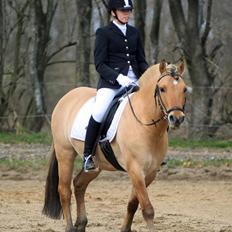 Anden særlig race Lukas