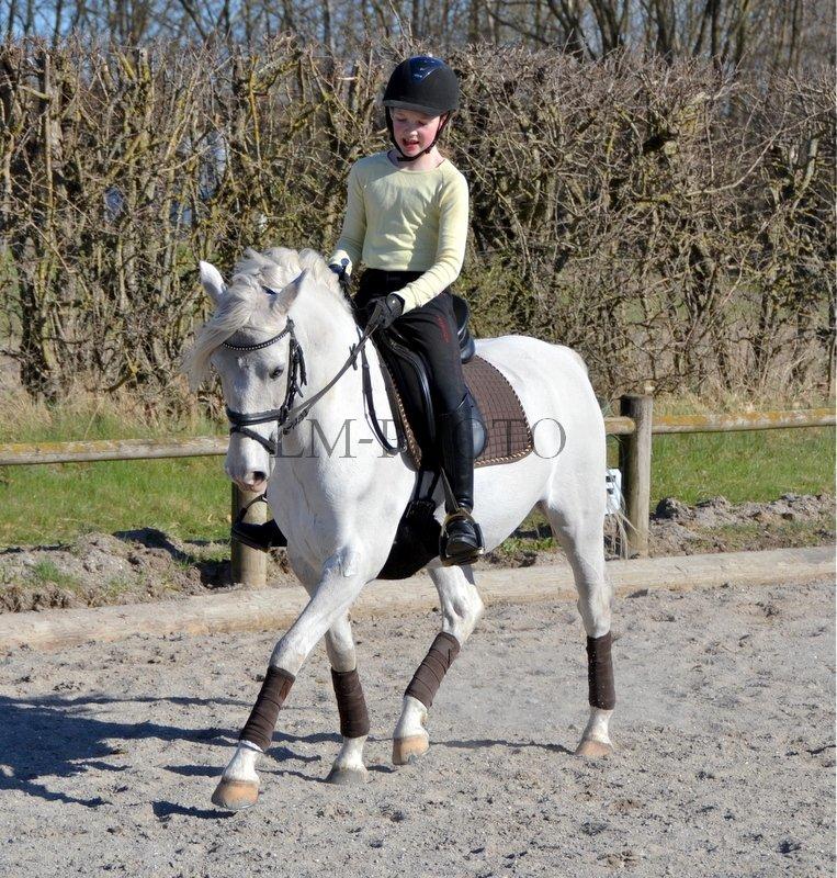 Anden særlig race Shadow - Dressur, forår 2013 billede 6