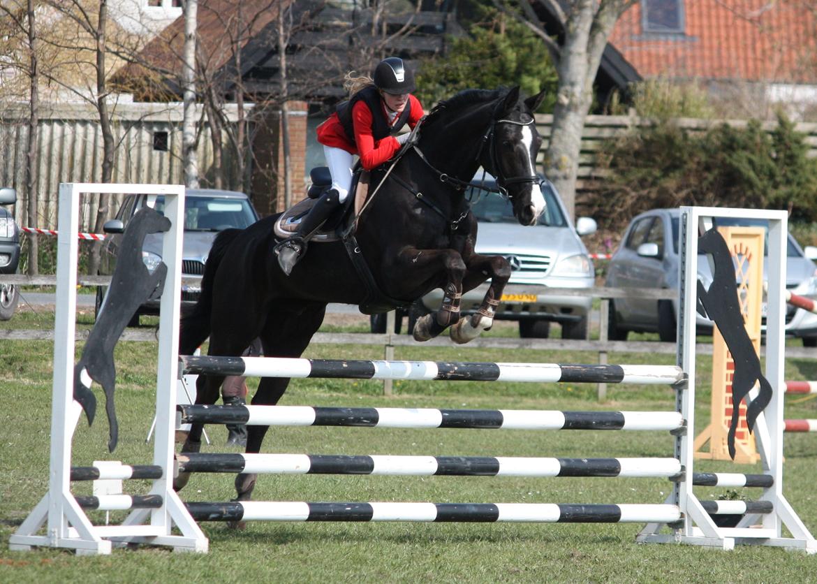 Hannoveraner Amando 29 - LB1* i Djurslands rideklub d. 4. maj 2013 ~ første udendørs stævne billede 6