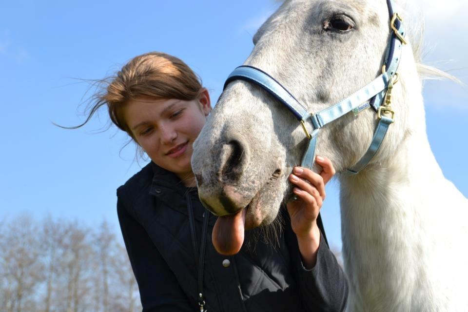 Anden særlig race Filuca billede 5