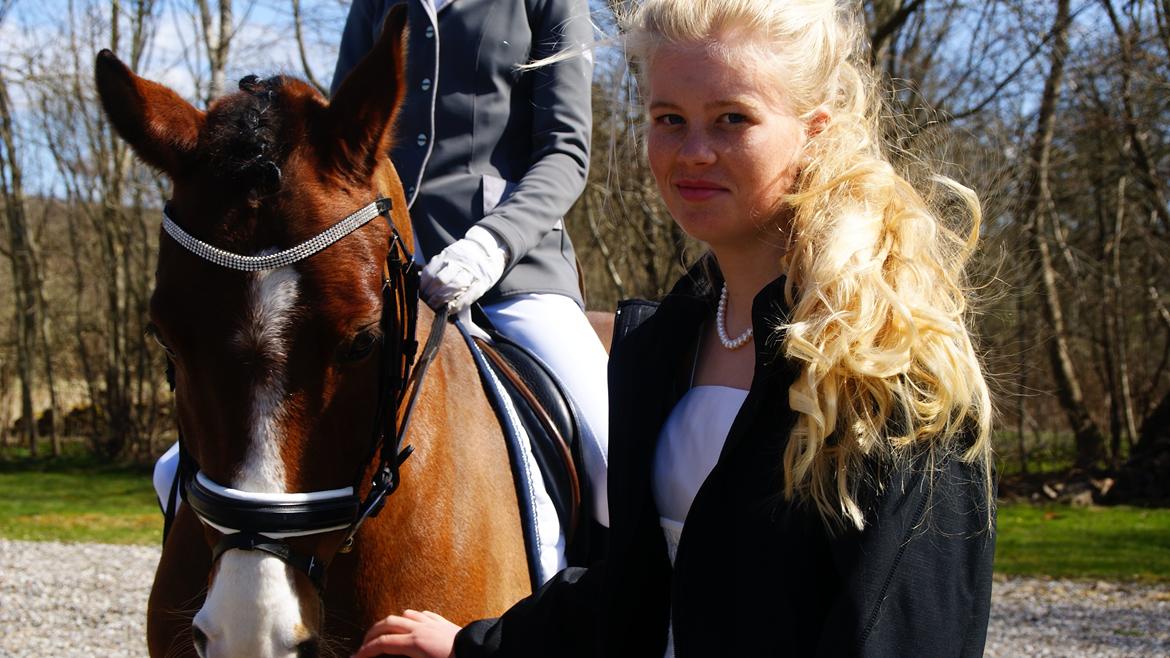 DSP Thorups Andiamo (Anker) B-pony - Anker til min konfirmation! <3 billede 13