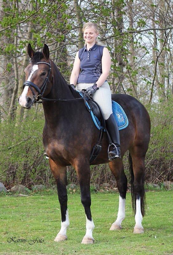 Oldenborg Lilly af Støvlebæk (solgt)  billede 2