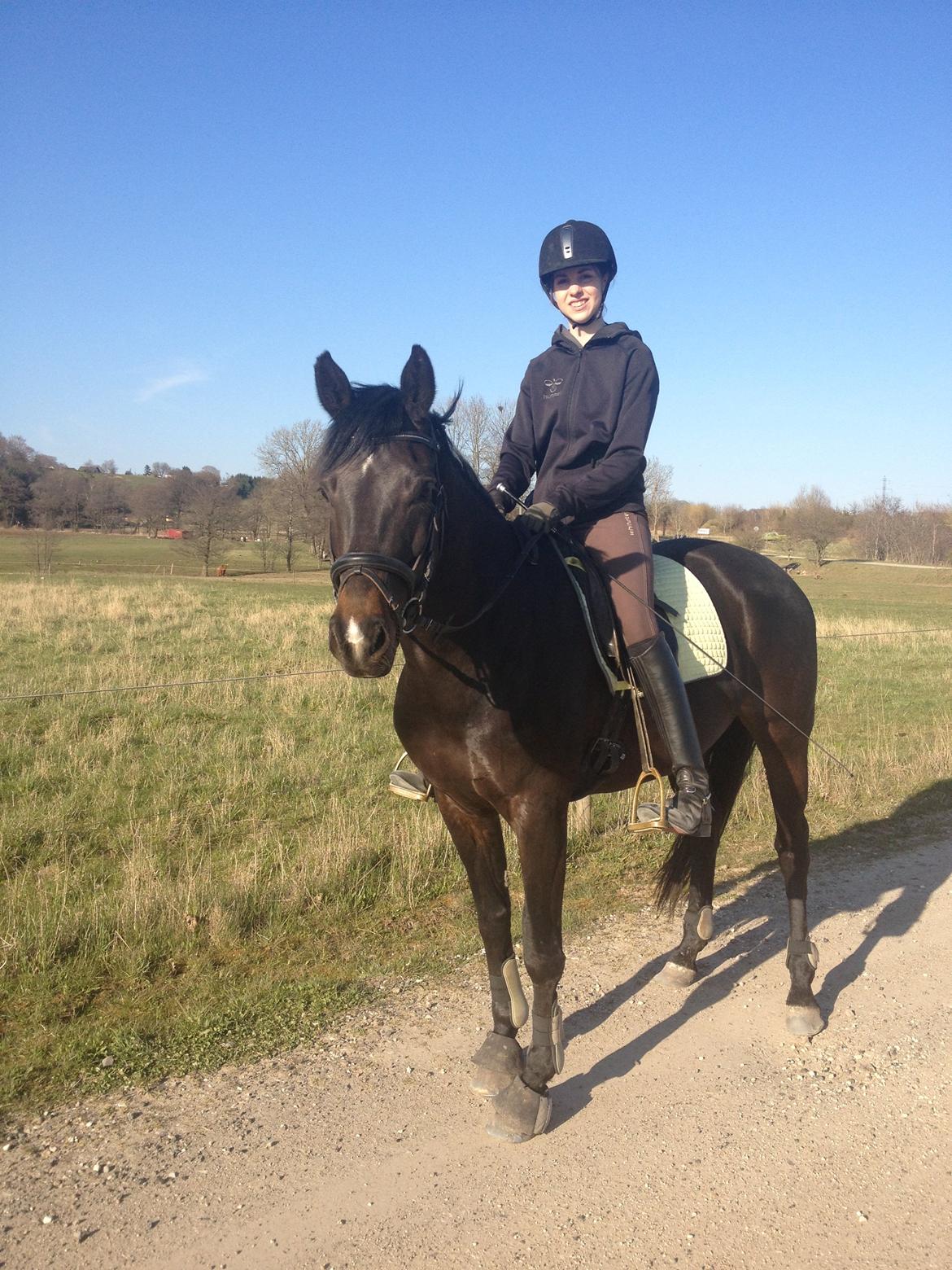 Fuldblod (XX) Staghøjgårds La Rochelle billede 13