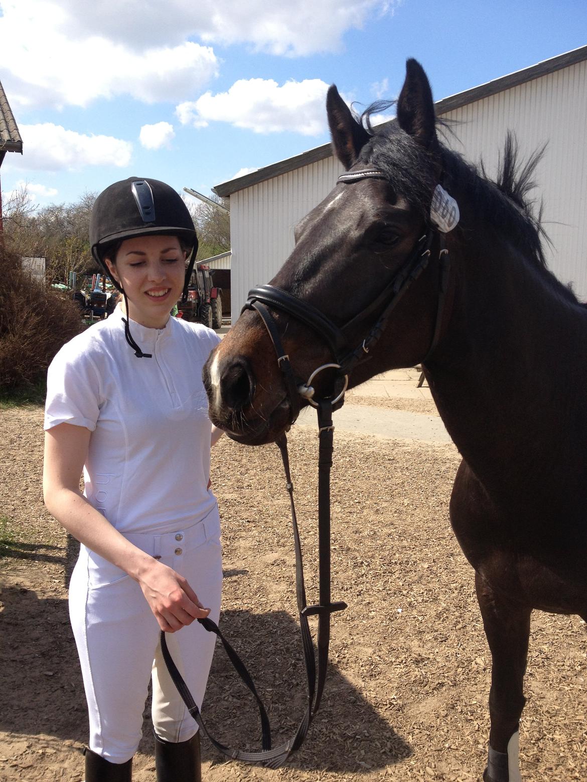 Fuldblod (XX) Staghøjgårds La Rochelle billede 11