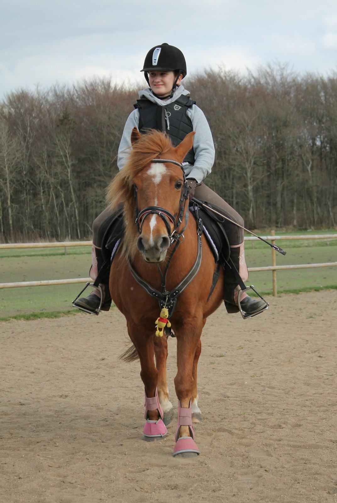Anden særlig race Fanny billede 4