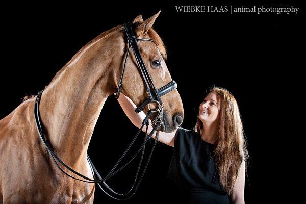 Hollandsk Varmblod Ziggy Marley m2s - Photoshoot v/tyske Wiebke Haas billede 16