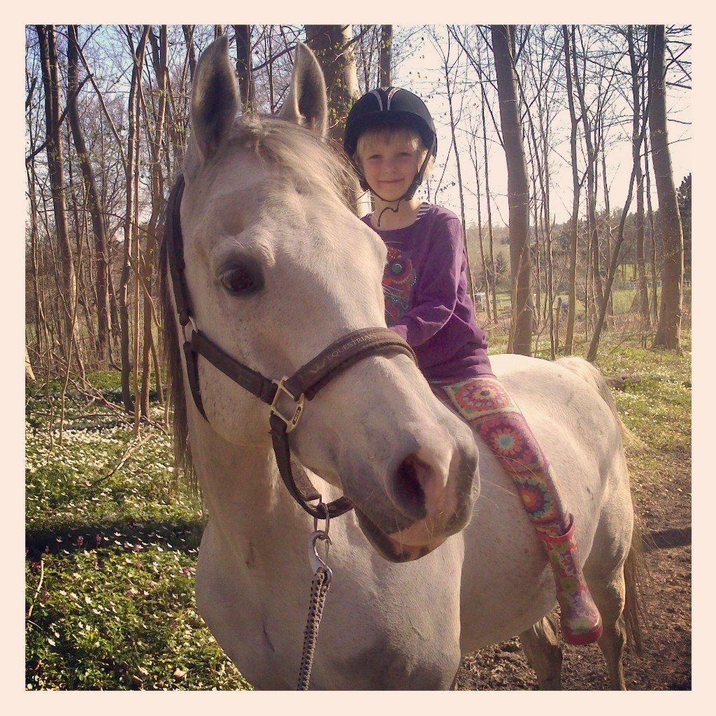 Arabisk fuldblod (OX) Zhazir Ibn Malik - Mine øjesten - søster 5 år og dejlige pony <3 billede 6