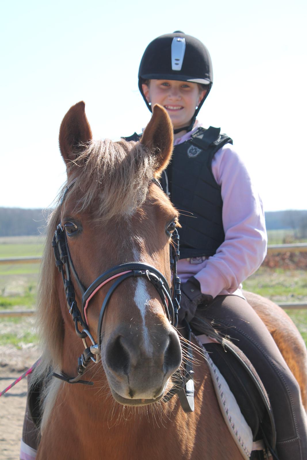 Anden særlig race Fanny billede 3